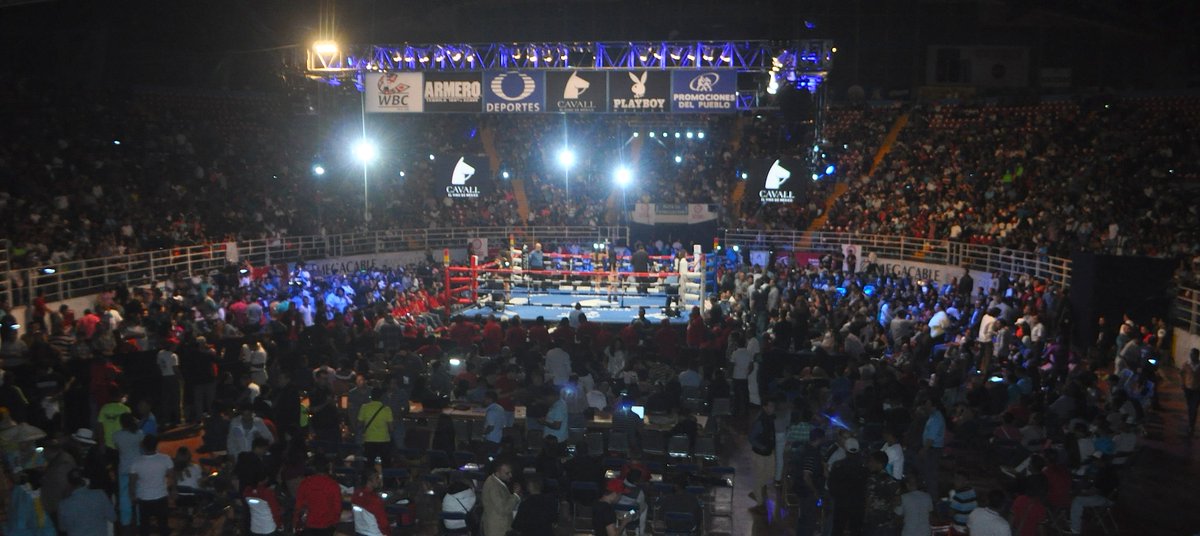 ¡Que venga Jackie Nava!
#SabadosDeBox 
<a href="/WBCBoxing/">World Boxing Council</a> 
<a href="/TequilaArmero/">Tequila Armero</a> 
<a href="/oskuchle/">Oswaldo Küchle</a> 
web.facebook.com/prensapromocio…