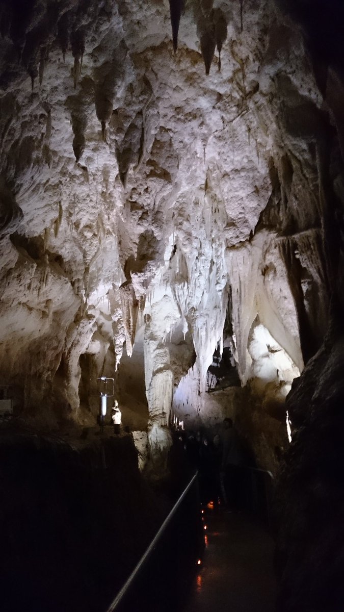 AndyBanson's tweet photo. Inside Ruakuri Cave. Also known as the "Den of Dogs".
#baNZon https://t.co/WTnR58PYmI