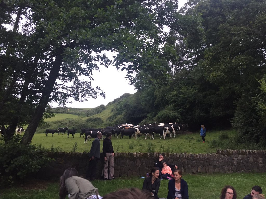 Kelley Petcu tweet media