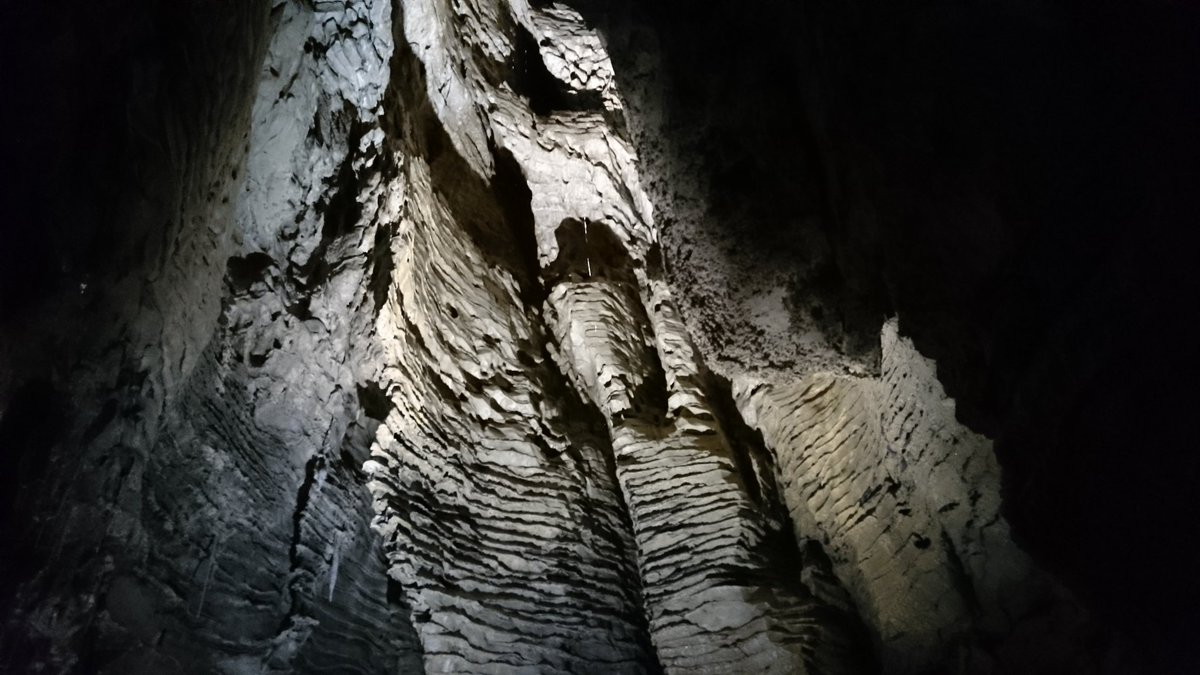 AndyBanson's tweet photo. Inside Ruakuri Cave. Also known as the "Den of Dogs".
#baNZon https://t.co/WTnR58PYmI