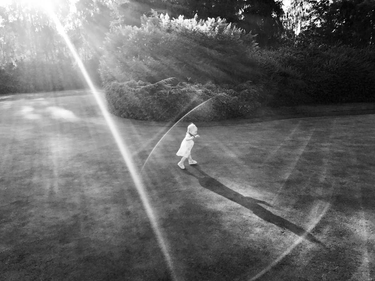 cubbymk's tweet photo. A 10 month old Florence getting to #experiencewoburn at yesterday's swindle championship. Is it @WoburnGC or heaven? #IsThereADifference? https://t.co/0LVNZE3sdM