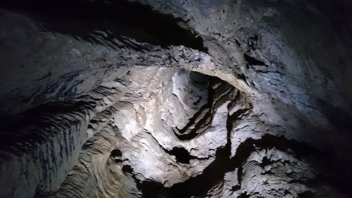 AndyBanson's tweet photo. Inside Ruakuri Cave. Also known as the "Den of Dogs".
#baNZon https://t.co/WTnR58PYmI