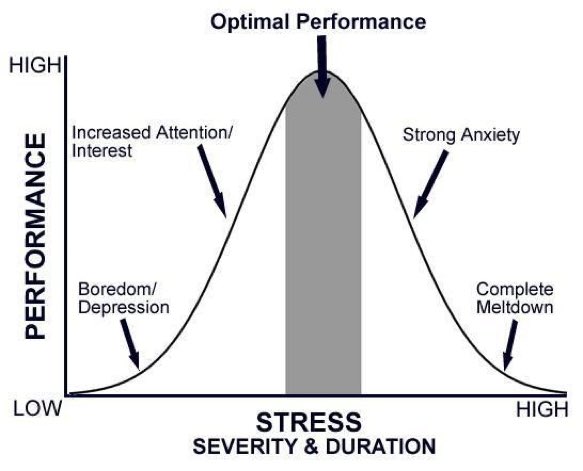ProfCaryCooper's tweet photo. Finding the right balance in life between boredom &amp; stress https://t.co/bb6Zdo1pkw