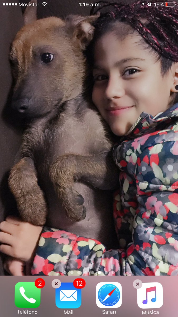 <a href="/DBallinas/">Diana Ballinas</a> Ayudenme a encontrarlo a apolo porfavor!! Cerca del aeropuerto de Guadalajara #porfavor #xoloescuincle