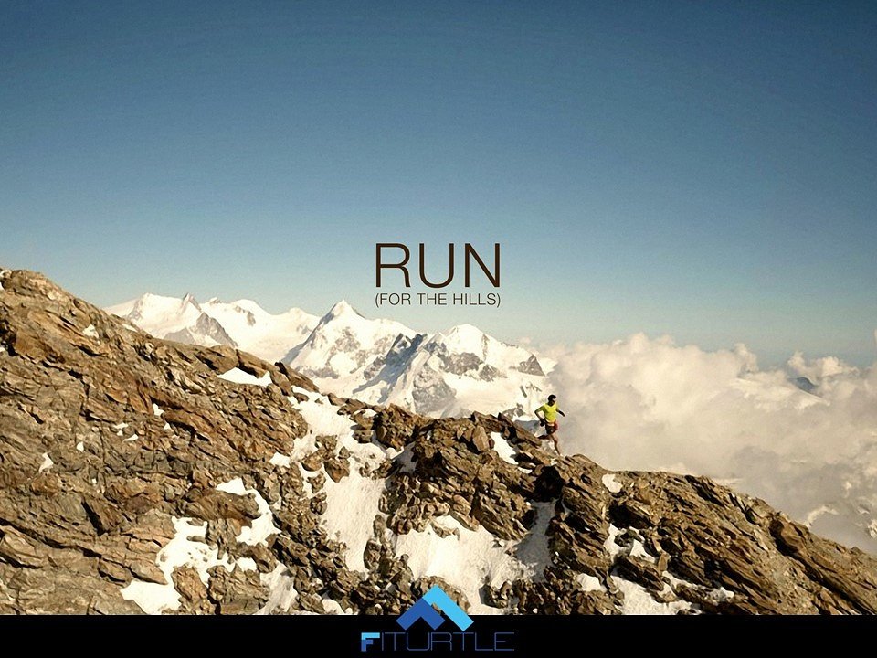 FiTurtle tweet media