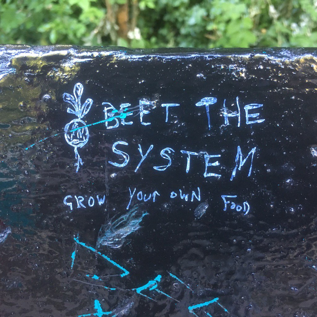 martinrowse's tweet photo. Excellent graffiti / street art from a home Garden anarchist #BeetTheSystem https://t.co/AZ2h0RKKUL