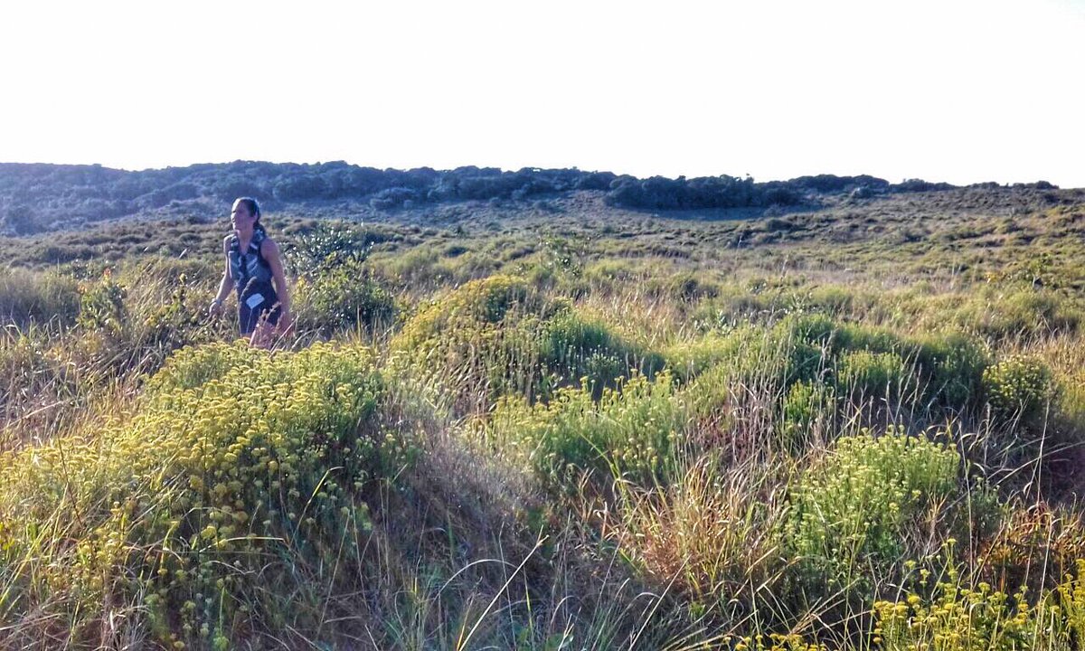 #iSimangalisoTRAIL Update: Carla van Huyssteen second overall into Bokkie Valley checkpoint!