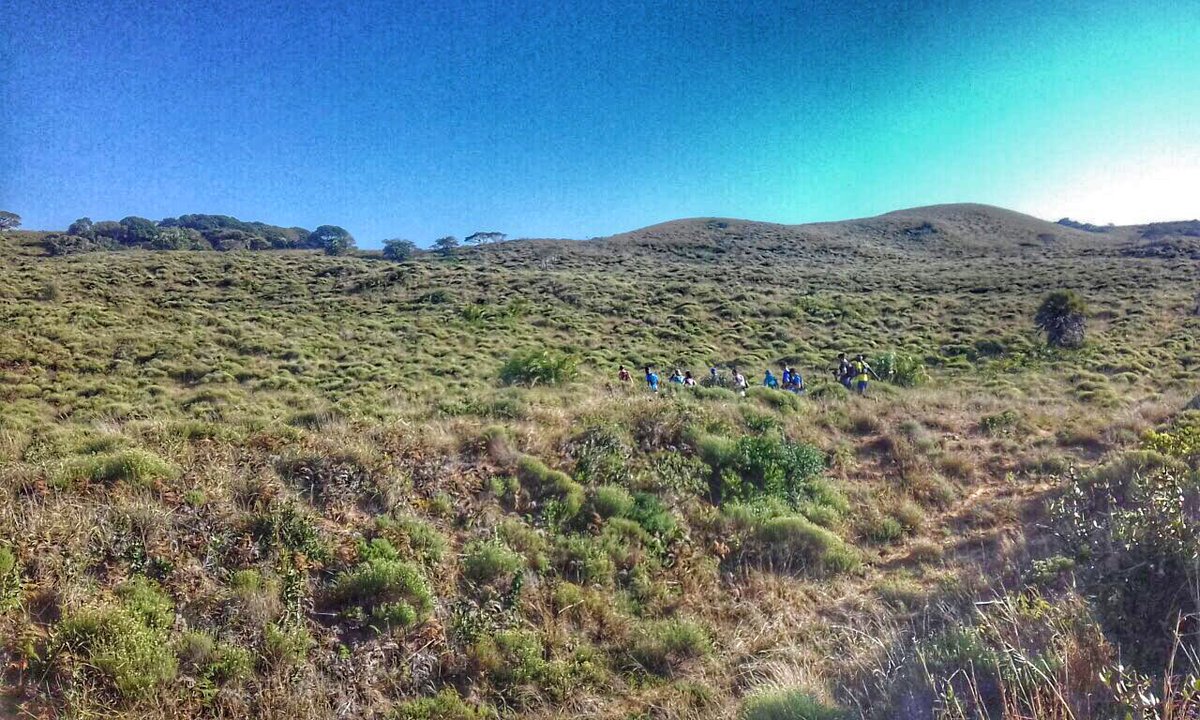 The first group of #iSimangalisoTRAIL Challenge runners heads into Big 5 territory under the watchful eye of the <a href="/Wilderness_Lead/">WLS</a> guides!