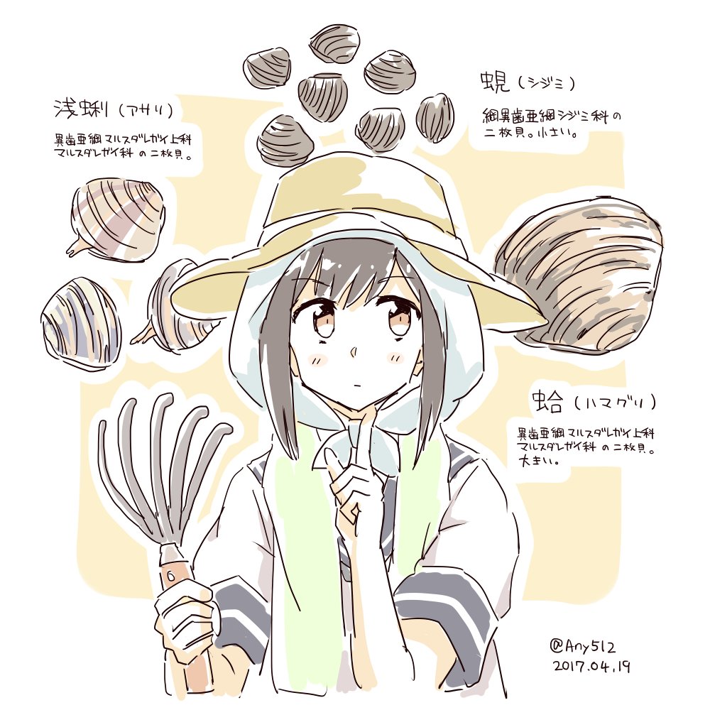 海のいきものたち 