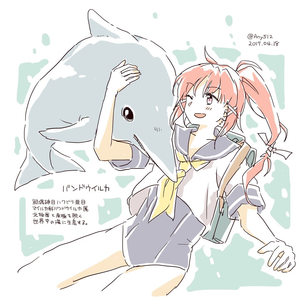 海のいきものたち 