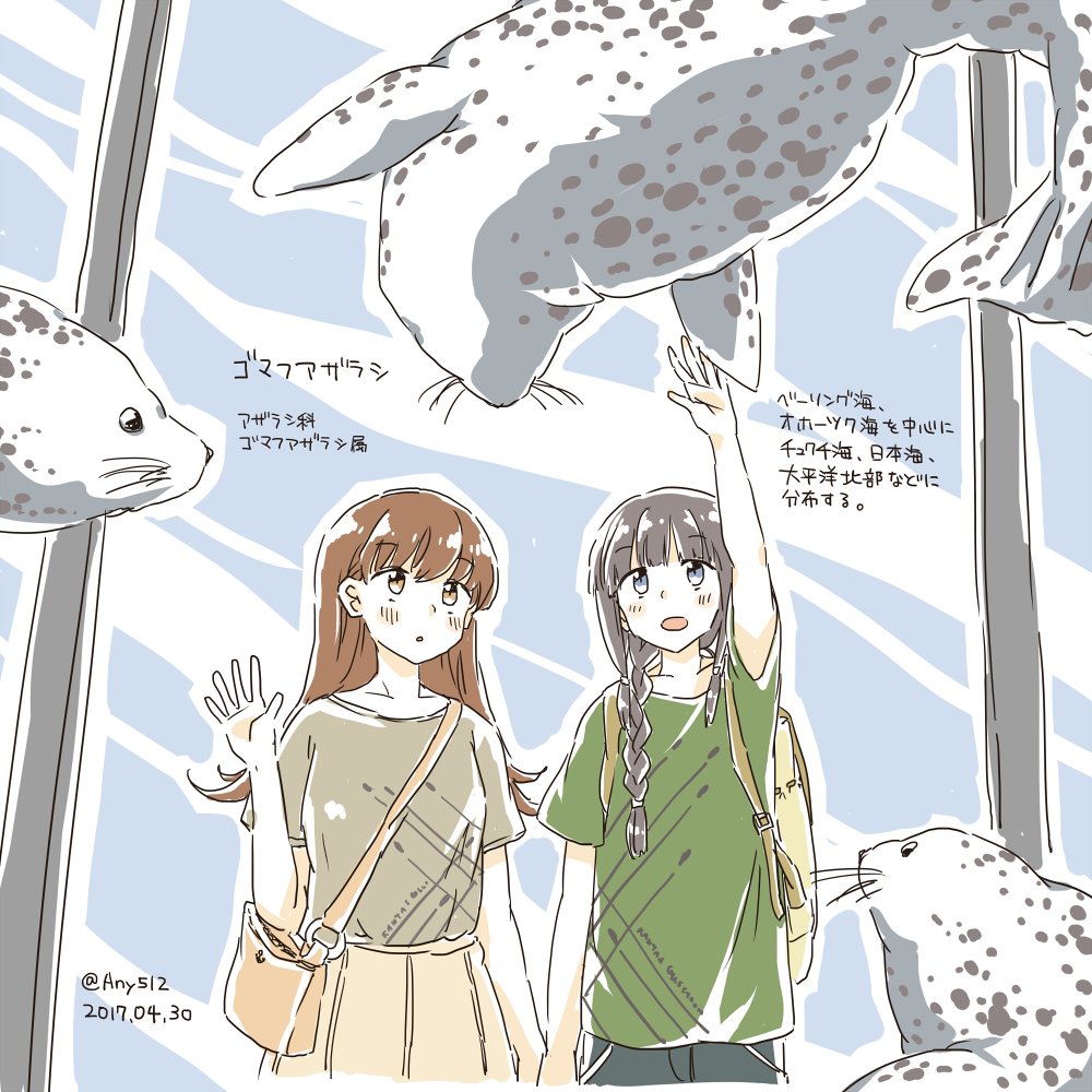 海のいきものたち 
