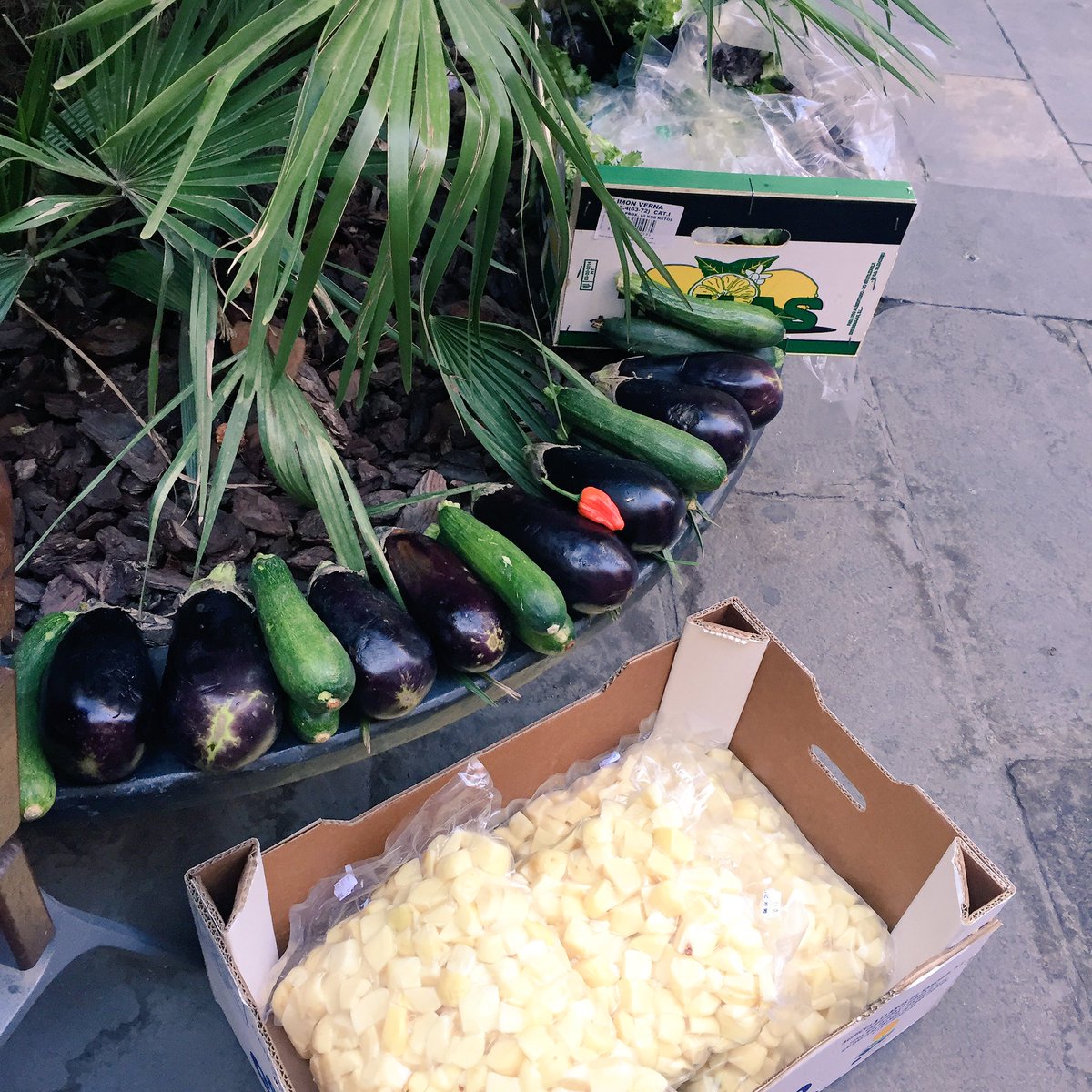 #Espigolada urbana espontània d'ahir. Llençaven verdura, l'agafem i ens fan passar per donar-nos 15kg de patata preparada. I al super, pa!