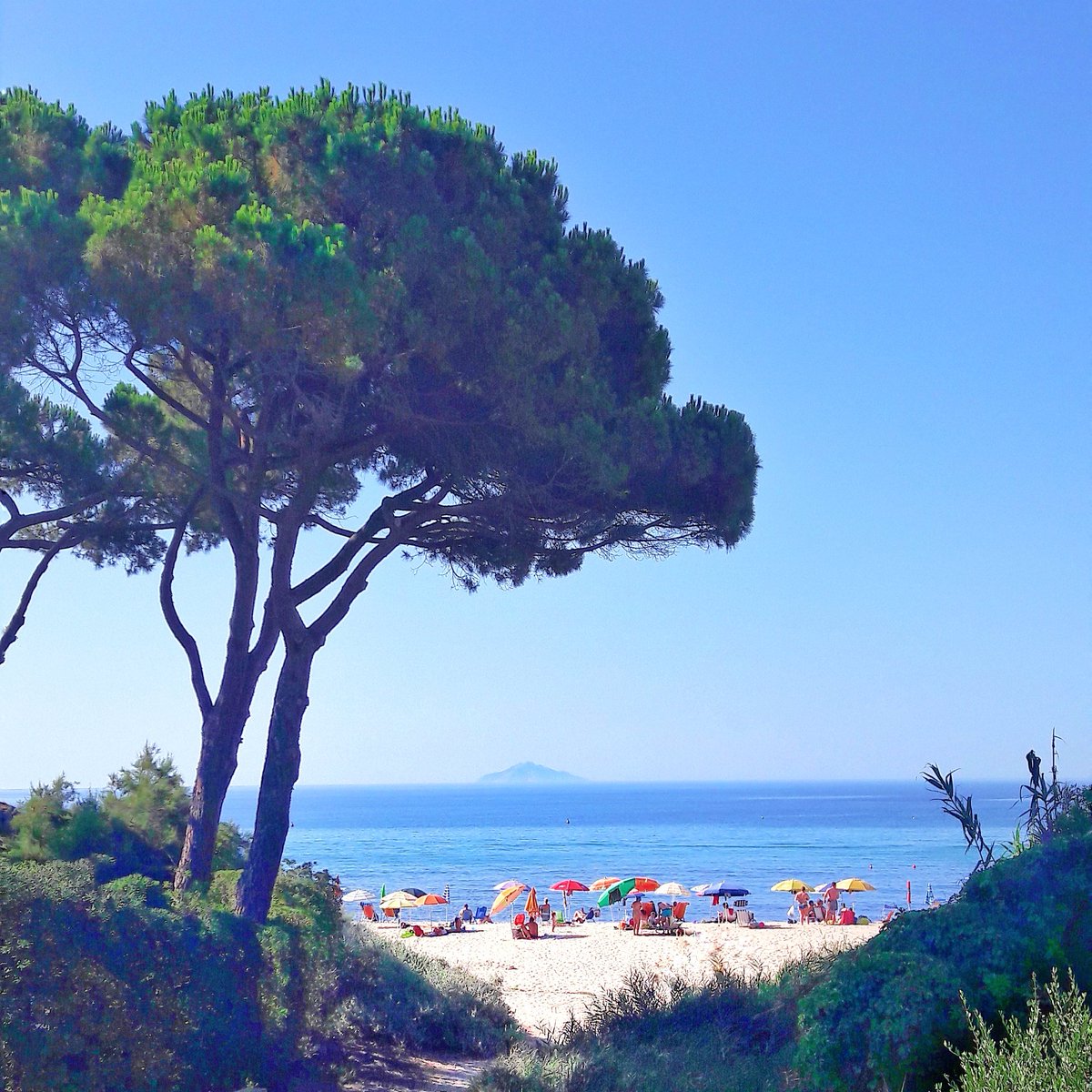 francescaturchi's tweet photo. 💙🏖 Buona domenica dall'Elba.
La spiaggia oggi è un paradiso! E sì, quella all'orizzonte è l'Isola di Montecristo. Voi dove siete di bello? https://t.co/WbWUr1Pgi7