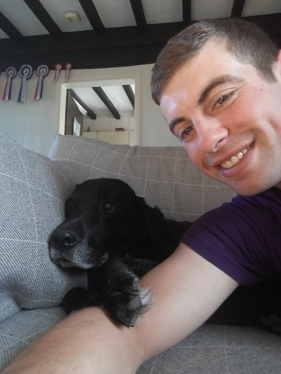 Childhood pootch has come for a sleepover! 14 years old and still going! What a dog! #mollydog #labradorpower