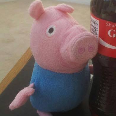 LindsayCooper9's tweet photo. @andy_murray can you RT https://t.co/5PddoszkqR lost a very sentimental George Pig in #Southampton Friday desperate to find him. #peppapig https://t.co/ynQf1dnafm