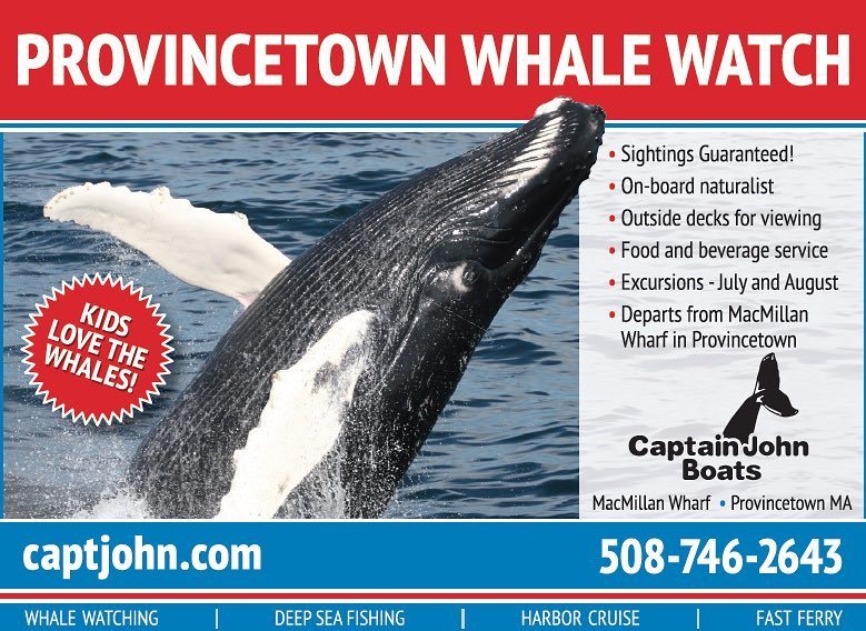 capecodguru tweet picture