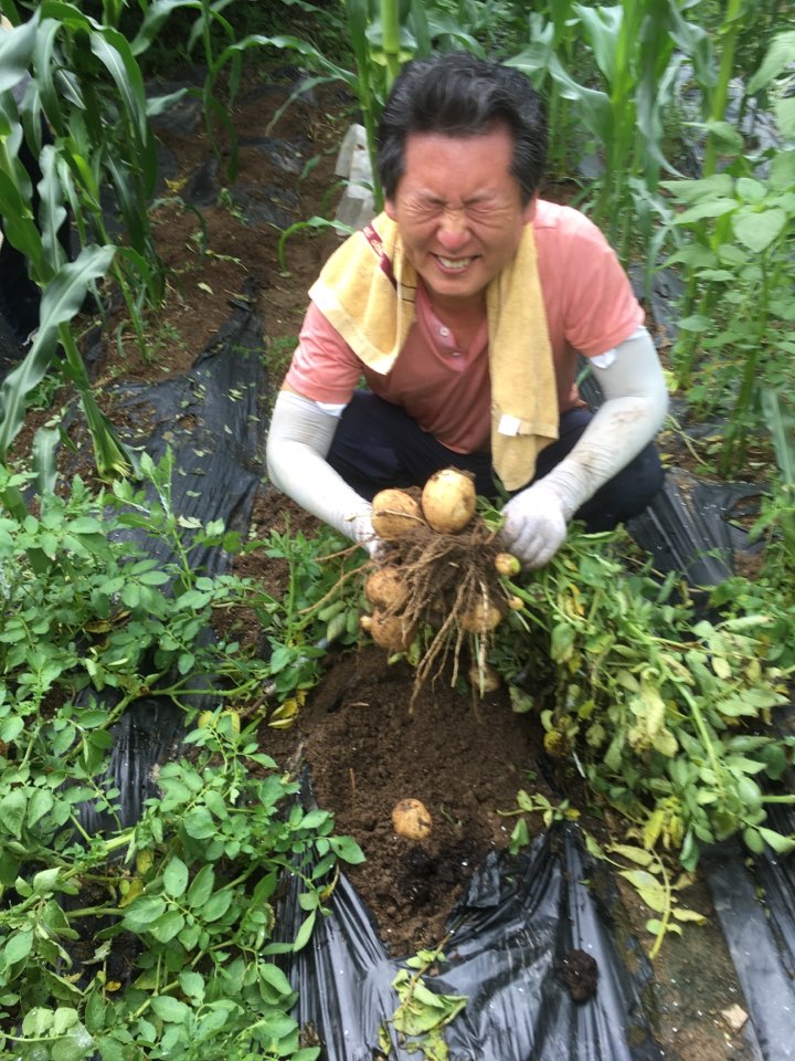 <감자봤습니다.>

안철수 전 대표도 
얼른 감자봤으면 좋겠습니다.