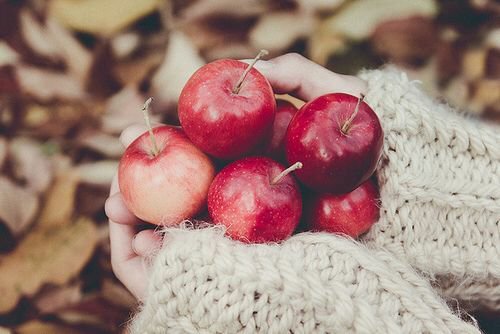 mboardarchive's tweet photo. @wowhsky 🎨 Feeds Daily
📷 Moodboard Archives 
🔍 Keyword : Red Autumn https://t.co/fSwU7cHuit