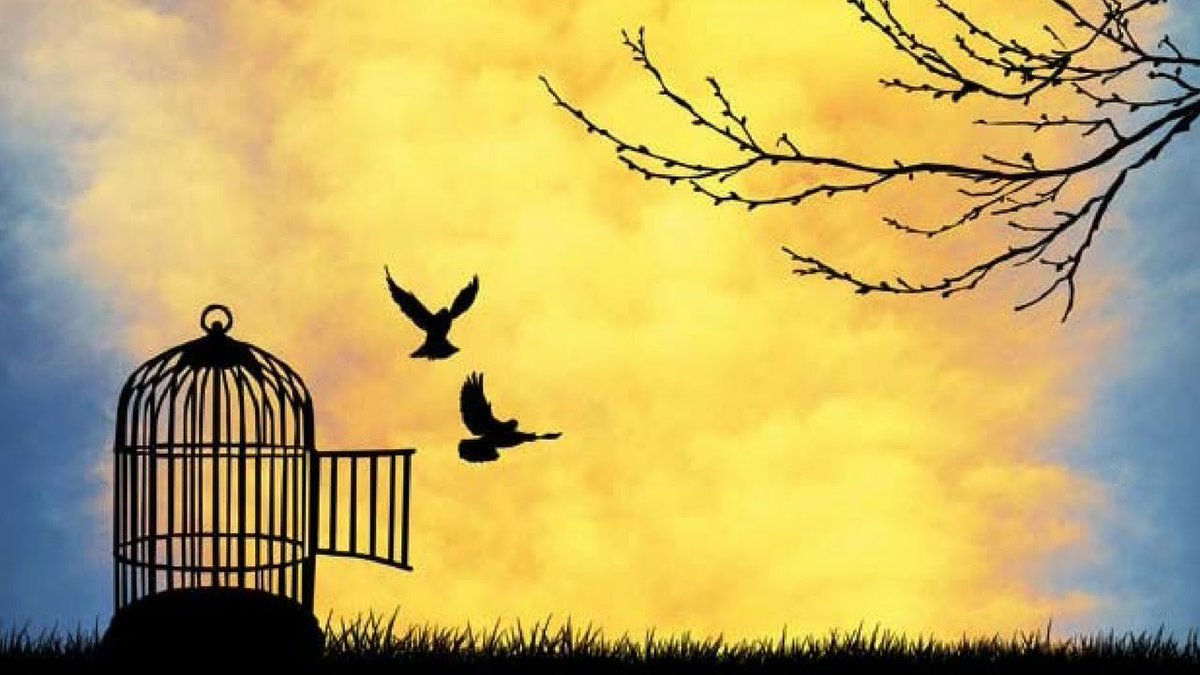 You can't undo what you've done. But you can learn from it &amp; change. So every new moment is spent not in fear, but in understanding &amp; wisdom