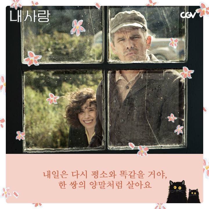 #내사랑 #영화내사랑 #인생로맨스 #7월12일개봉 . #샐리호킨스 #에단호크 #모디루이스 #maudie #명대사