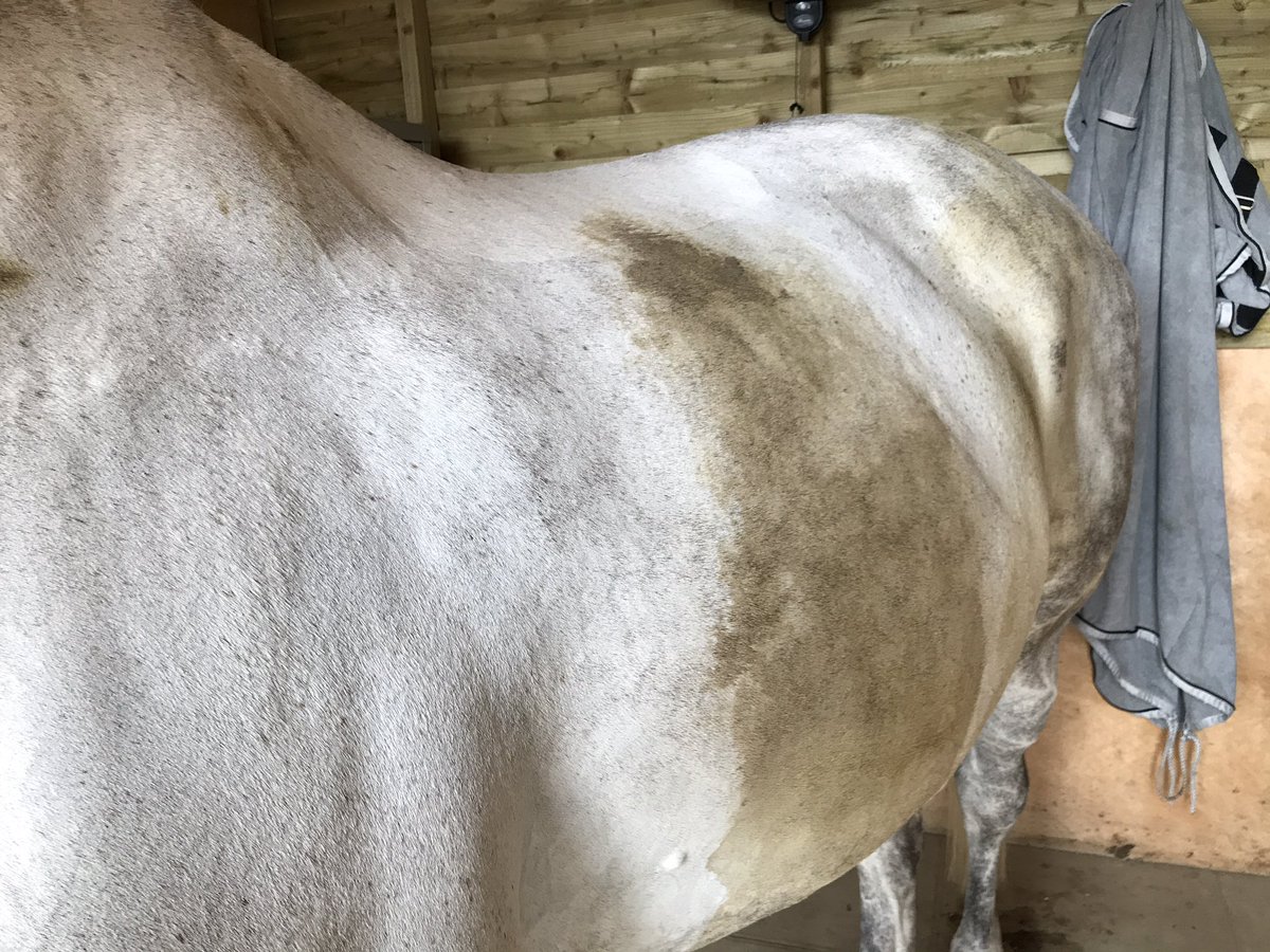 When your so pleased you have <a href="/hawkinsorganic/">Hawkins Organic</a> as your sponsor 👍🦄#poomonster