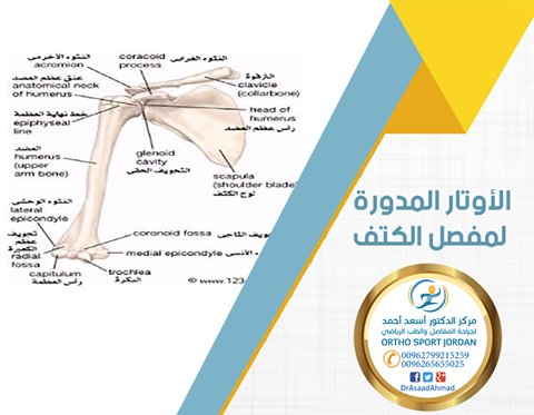 drasaadahmad's tweet photo. #الأوتار_المدورة_لمفصل_الكتف

https://t.co/iHiiM7JHQs
#وش_جهازك_الذكي
#جراحة_مفاصل
#طب_رياضي
#دوام #JOSMDay
#اشياء_ما_ترجع
#الموصل https://t.co/6nGvikqqM8