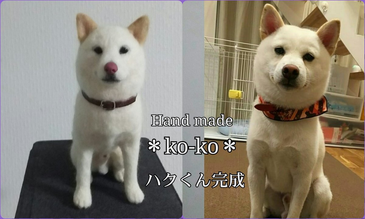 Ko Ko ハクくん完成 羊毛フェルト 羊毛フェルト柴犬 白柴犬 Handmade Needlefelting