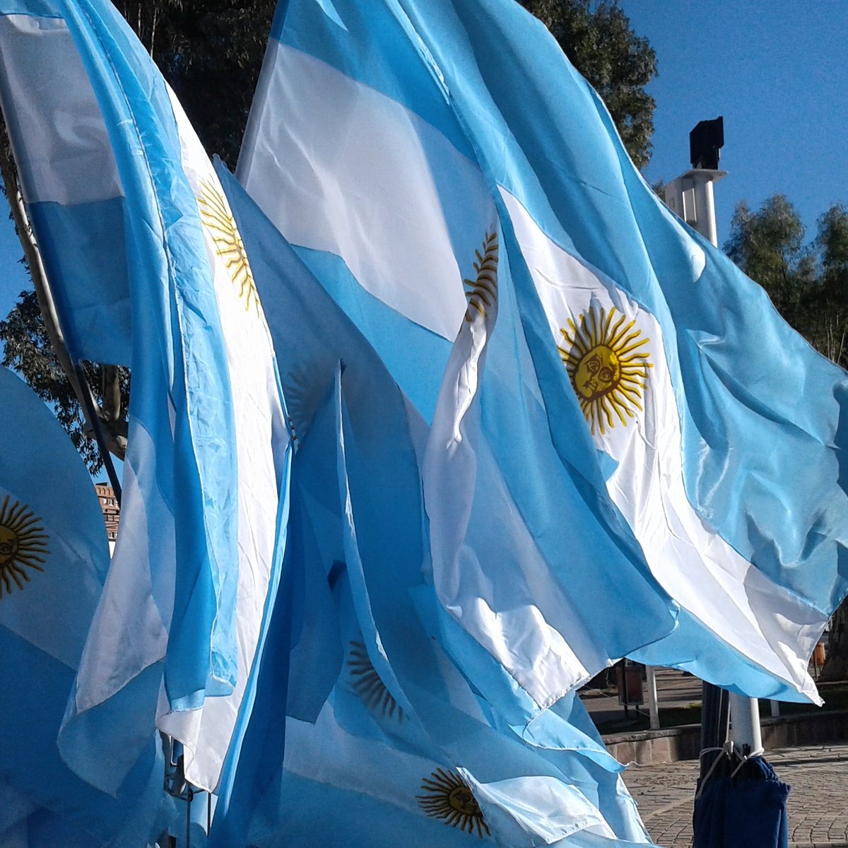 cecitorrejon's tweet image. Feliz Día #Argentina