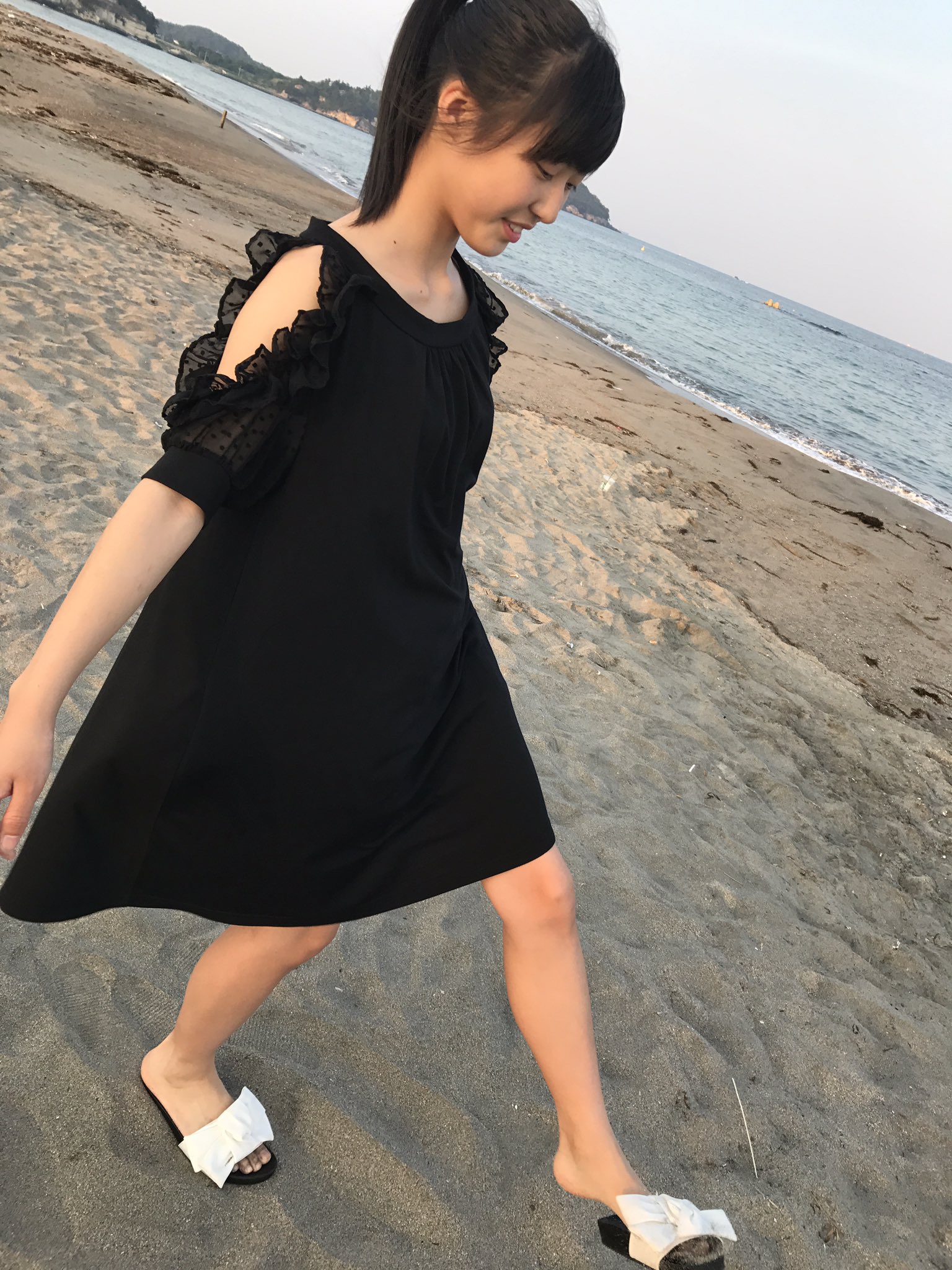 ハマトビムシは人を咬む Twitter