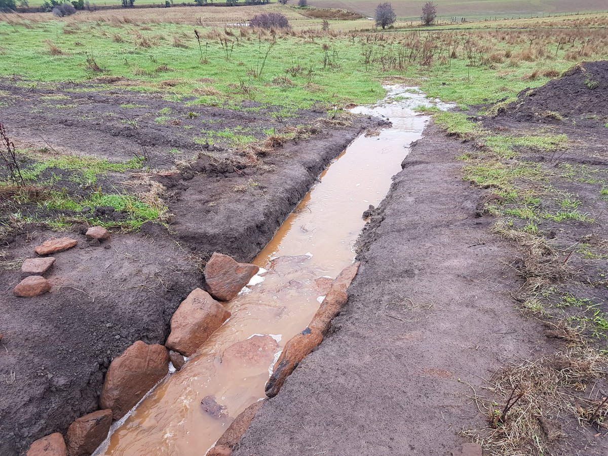HillcrestTas's tweet photo. Drains running after first rain 28 5 17
Installed 18 5 17
Cleared several days later, next step in making non performing ground useful again https://t.co/B9J6Tetd2F