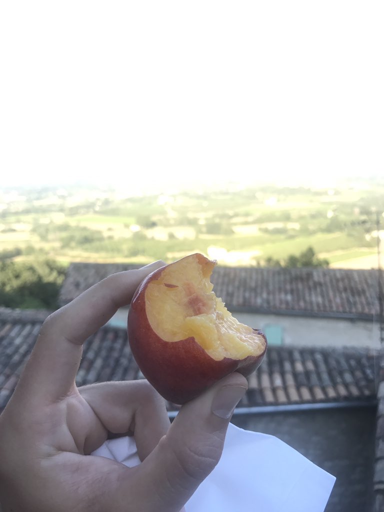 JustForJacobP's tweet photo. But it was so hairy, and yet so juicy #peach https://t.co/89x8QvRIkV
