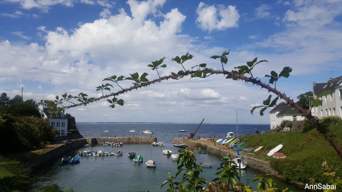 AnnSabai's tweet photo. Il fait très beau à Groix 😉
Bonne fin de week-end ❤ https://t.co/q0rKSO0V06