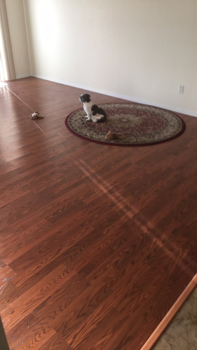 JoeAzarAZ's tweet image. Another Sunday morning all alone. Sigh.