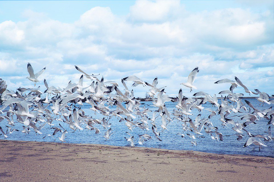 DaveJShank's tweet photo. You are not alone The sky shimmers with the silver wings of love Life is beautiful and so are you #IAmChoosingLove #freeSPIRIT https://t.co/s2I4qzYToB
