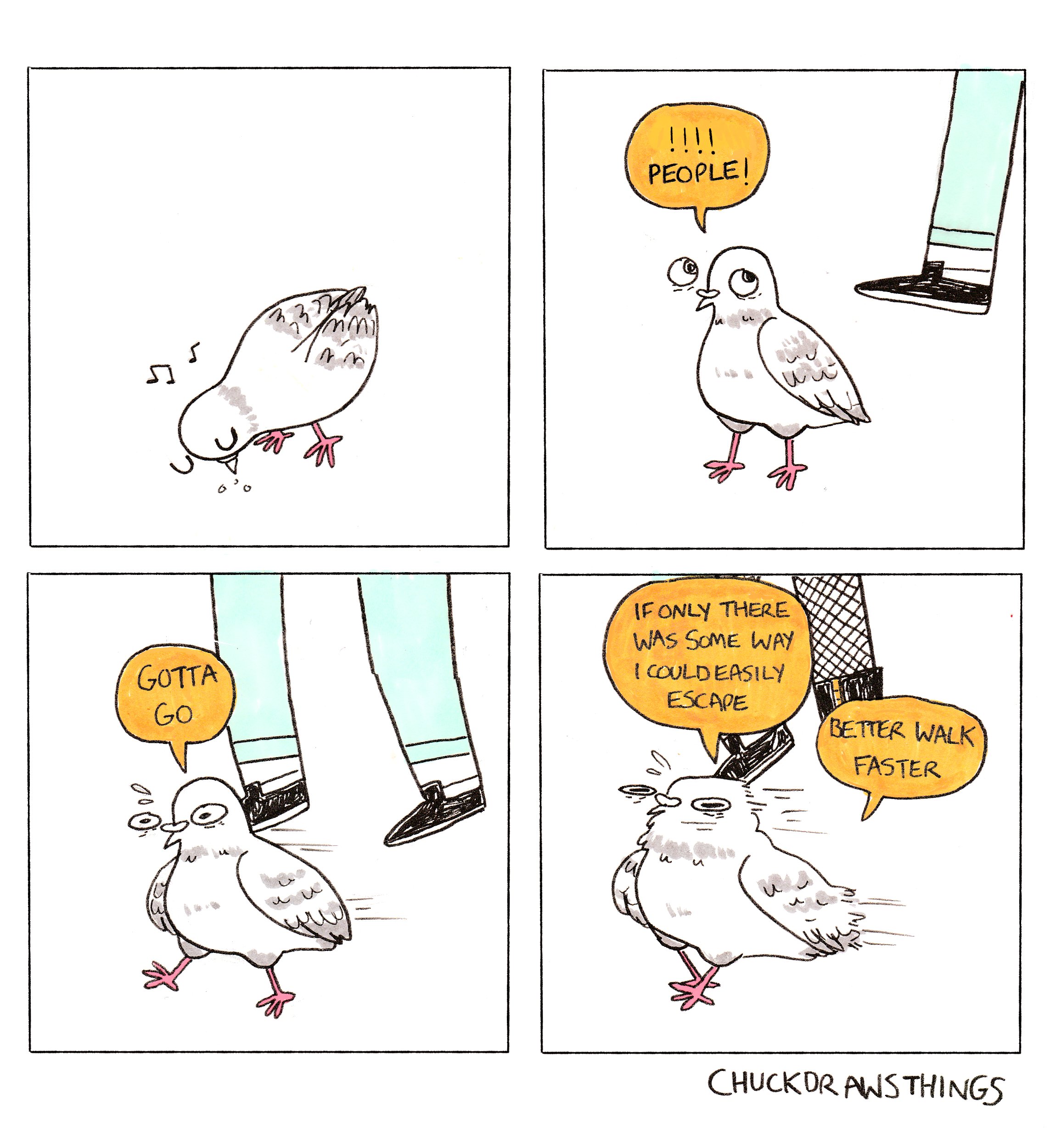 Stop that Pigeon фразеологизм