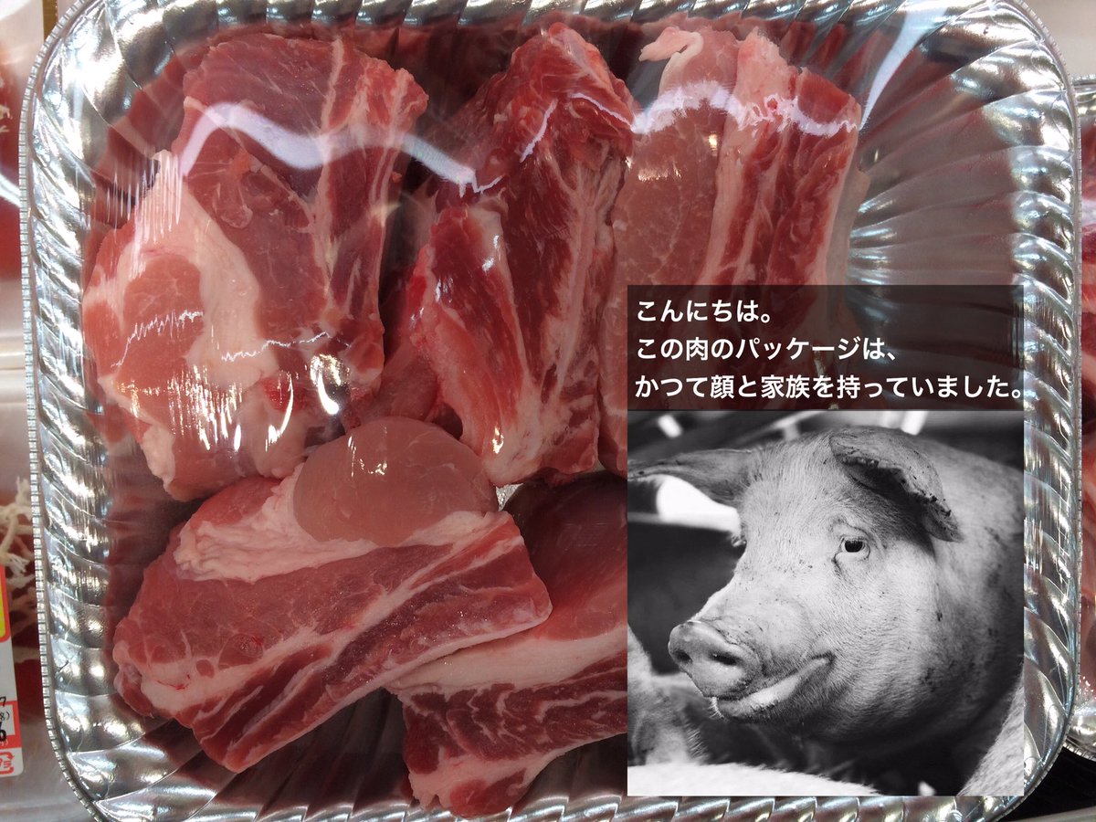 霞でも食ってろ 霞でも食ってろ