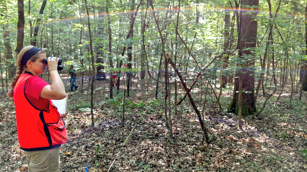 ForestHydroLab's tweet image. Setting up a new field site this weekend to study fire🔥&amp;amp; hydrology💧#sciencematters #forestry