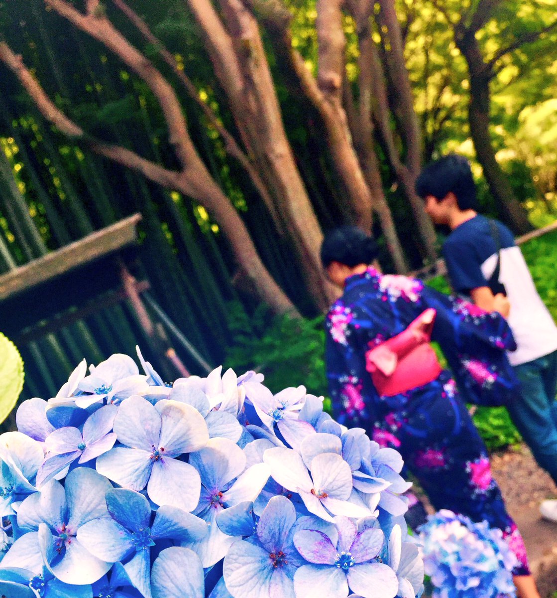 aks_strawberry's tweet photo. 2人では2回目の鎌倉🌷
そして人生初の人力車😆💗
ほんとは七夕祭りがメインだったのに
鎌倉を満喫してしまいました🍃
今度はしゅんやも浴衣で行こうね👘 https://t.co/YIZGzGVwV1