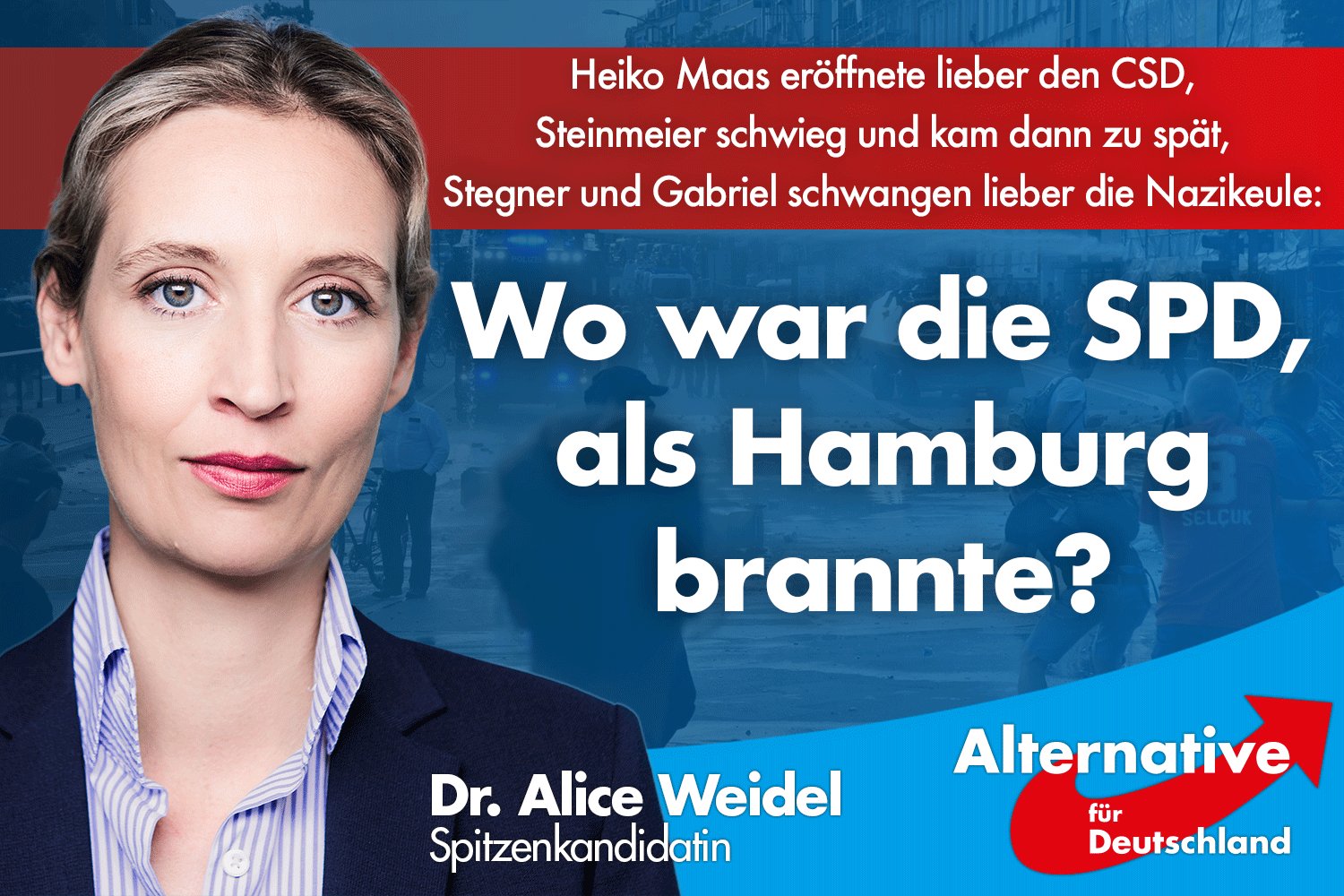 Alternative für 🇩🇪 Deutschland on Twitter: "#AfD ...