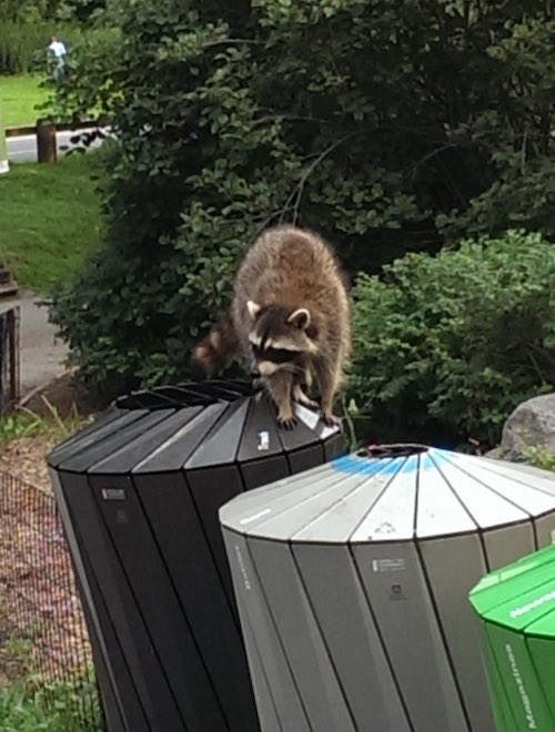 View image on Twitter