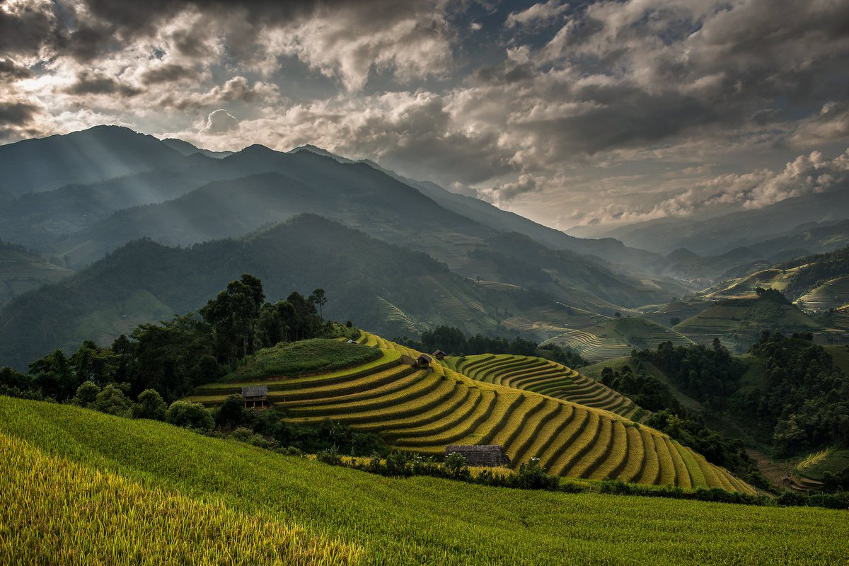Rice Terrace by Sarawut Intarob

500px.com/photo/10478812…