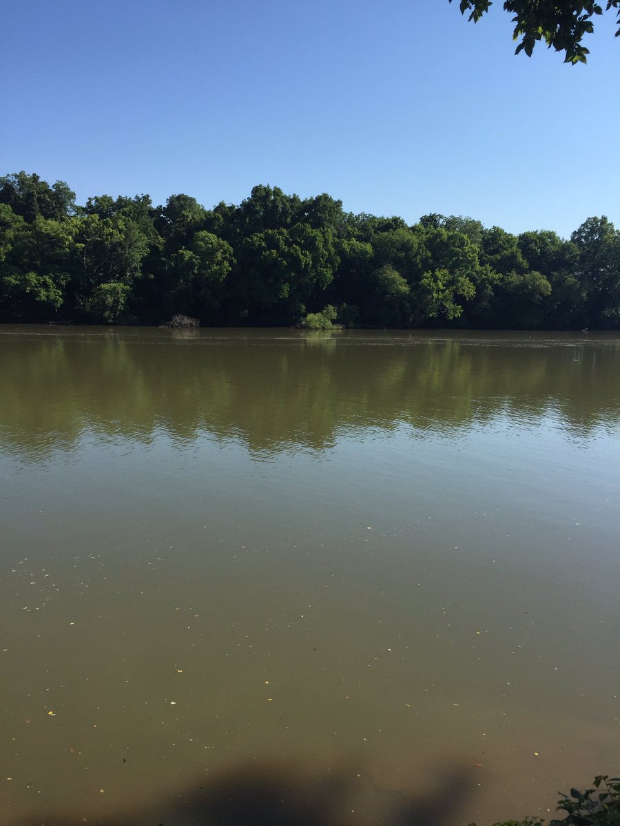 zafarsareshwala's tweet photo. This is #RiverJames flowing through #Richmond Virginia alongside thick forest ๐ณ!Ecological Marvellous sight to watch from the Banks of river https://t.co/Oxd4Tf7pkX