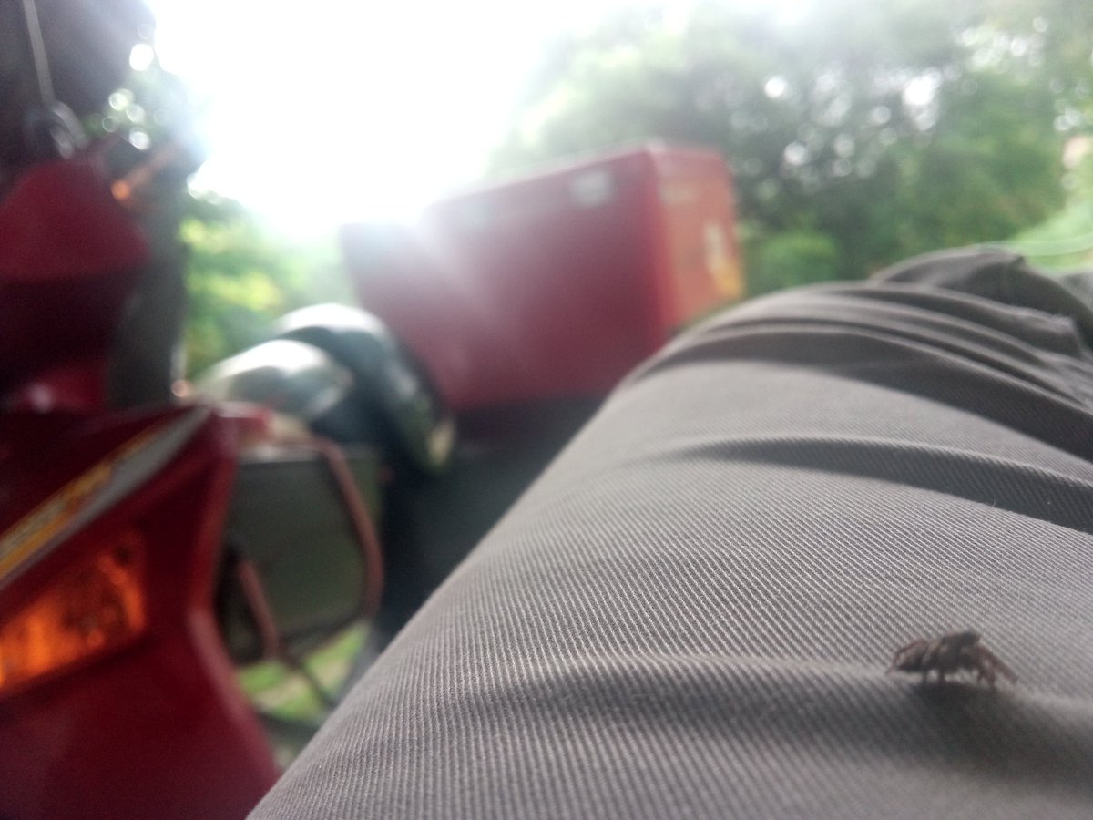 sham_adeyy's tweet photo. Kini tinggal kenangan ...
#RoadToGanu
#Rider
#DeliverEat
#MatMotor
#MatDespatch
#M.A.TOnline
#DuaRoda
#Aduhai ... https://t.co/P0HoUgjcGQ