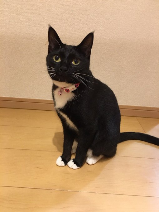 今日は更新お休み 