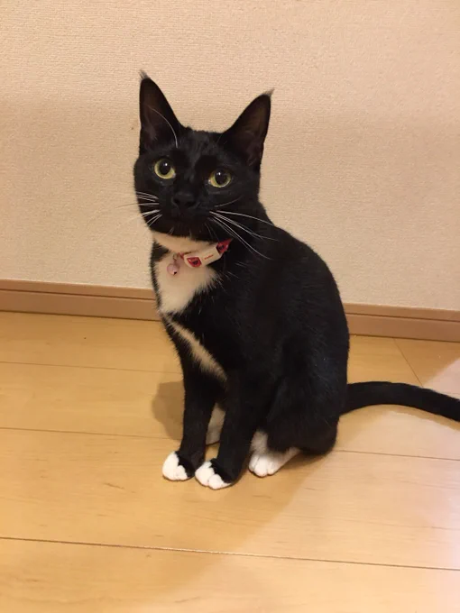 今日は更新お休み 