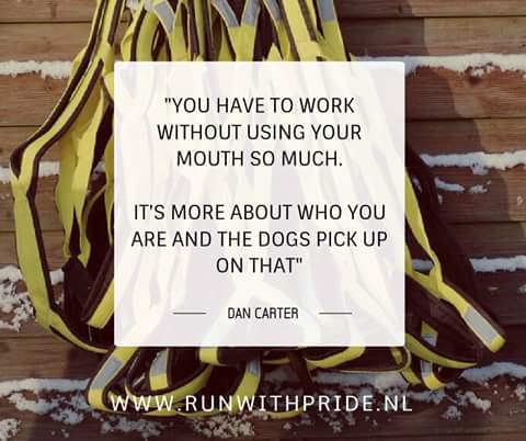 RunwithPride_eu's tweet photo. https://t.co/VViwy780kf