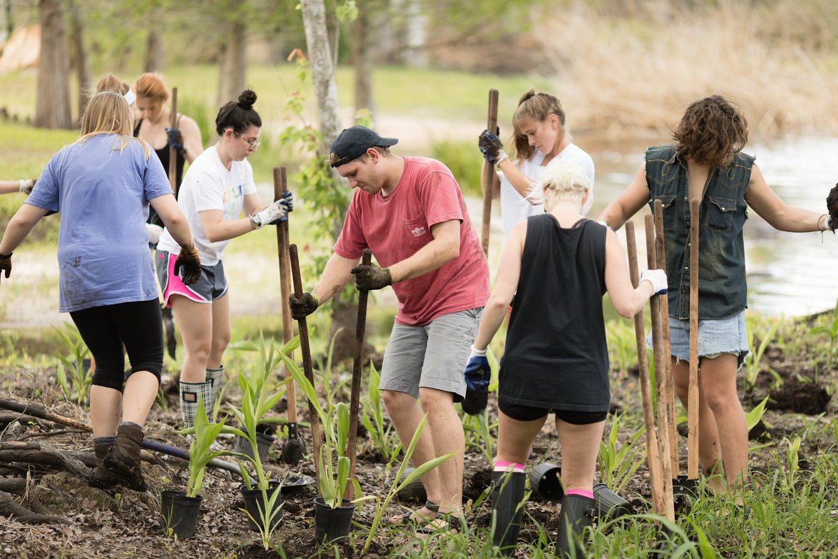 rollinscollege's tweet photo. Course Spotlight: #EnviroStudies Biosphere
Students learn if you want to save the 🌎, you have to get your 🖐️ dirty - https://t.co/OkB1WYgIom https://t.co/4HEsTAMt1a