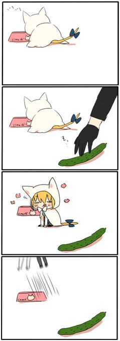にゃんばちゃんとキュウリ 