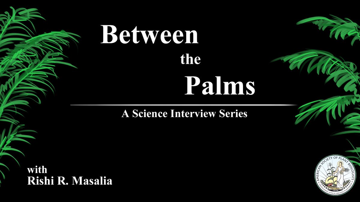 RishiMasalia's tweet photo. Title card for the #betweenthepalms interview series! First episode will drop soon! @ASPB #plantbio17 https://t.co/ZHfrXXgXW3