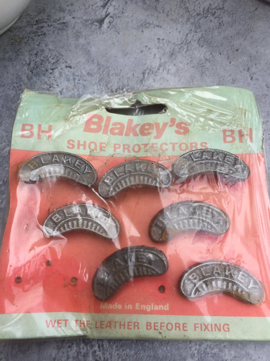 Lexy the fencing dog tweet media